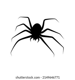 Spider icon design template illustration vector
