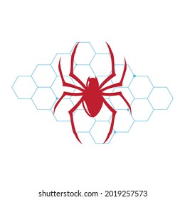 Spider icon design vector illustration design template