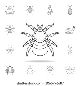 spider icon. Detailed set of insects line illustrations. Premium quality graphic design icon. One of the collection icons for websites, web design, mobile app on white background