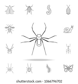 spider icon. Detailed set of insects line illustrations. Premium quality graphic design icon. One of the collection icons for websites, web design, mobile app on white background