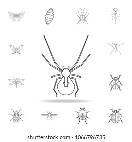 spider icon. Detailed set of insects line illustrations. Premium quality graphic design icon. One of the collection icons for websites, web design, mobile app on white background