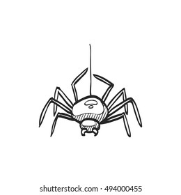 Spider icon in doodle sketch lines. Animal arachnid spooky Halloween