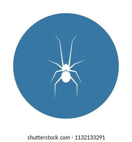 spider icon. Element of insect icons for mobile concept and web apps. Badge style spider icon can be used for web and mobile apps