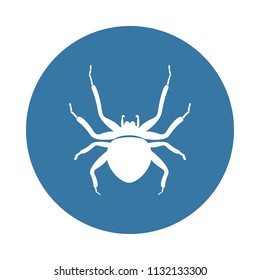 spider icon. Element of insect icons for mobile concept and web apps. Badge style spider icon can be used for web and mobile apps