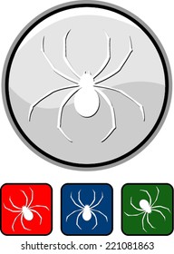  Spider  icon, flat style
