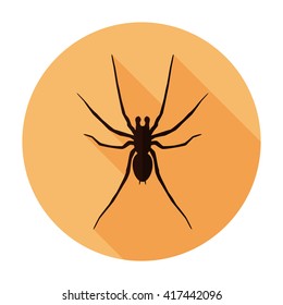 Spider Icon flat vector insect sign symbol, sticker. For mobile user interface