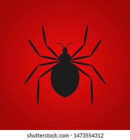 Spider icon. Graphic template. Vector illustration