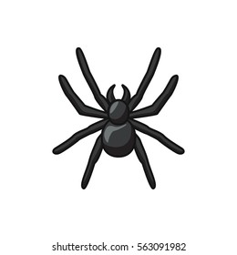 spider icon illustration isolated vector sign symbol