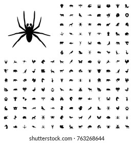 Spider icon illustration isolated vector sign symbol. animals icon set for web and mobile.