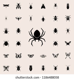 spider icon. insect icons universal set for web and mobile