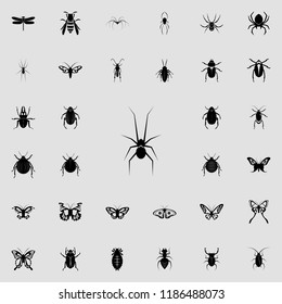 spider icon. insect icons universal set for web and mobile