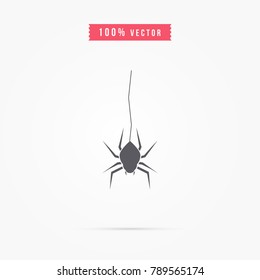 spider icon. insect symbol