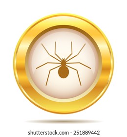 Spider icon. Internet button on white background. EPS10 vector. 