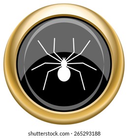 Spider icon. Internet button on white  background. EPS10 Vector. 