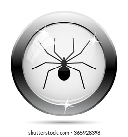 Spider icon. Internet button on white background. EPS10 vector.