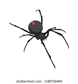 Spider icon. Isometric of spider vector icon for web design isolated on white background