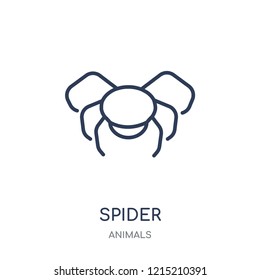 Spider icon. Spider linear symbol design from Animals collection. Simple outline element vector illustration on white background.