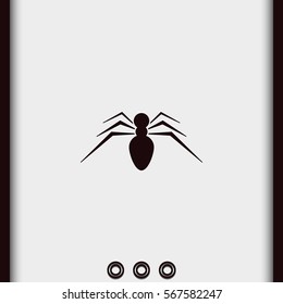 Spider icon. Spider logo illustration.