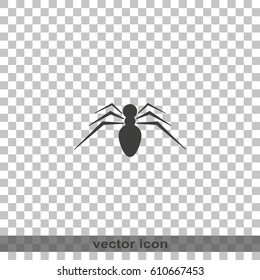 Spider icon. Spider logo illustration.