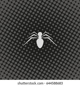 Spider icon. Spider logo illustration.