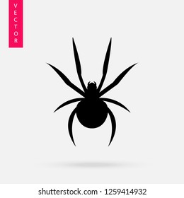 Spider icon, logo on white background