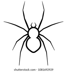 Spider icon outline. Pest control clipart isolated on white background