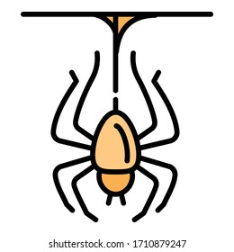 Icono de araña. Icono de vector de araña de esquema para diseño web aislado en fondo blanco