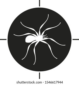 Spider icon over target. Simple and flat illustration in black and white. Isolated. Vector.