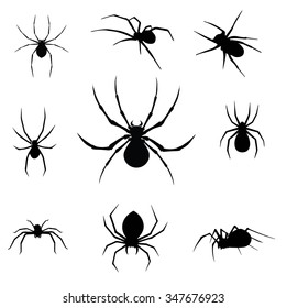 spider icon set isolated in white background.