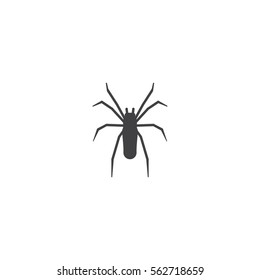 spider icon. sign design
