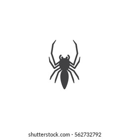 spider icon. sign design