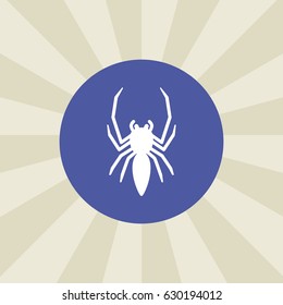 spider icon. sign design. background