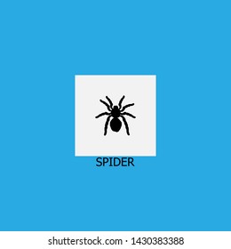 spider icon sign signifier vector