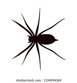 spider icon, silhouette