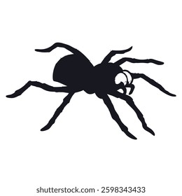 Spider icon silhouettes vector illustration