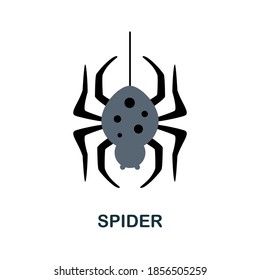 Spider icon. Simple element from halloween collection. Creative Spider icon for web design, templates, infographics and more