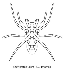 Spider icon. Simple element illustration. Spider symbol design from Insect collection set. Can be used in web and mobile on white background