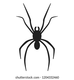 Spider icon. Simple illustration of spider vector icon for web design isolated on white background