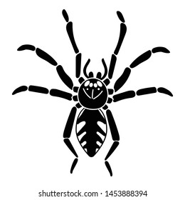 Spider icon. Simple illustration of spider vector icon for web design isolated on white background