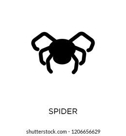 Spider icon. Spider symbol design from Animals collection. Simple element vector illustration on white background.