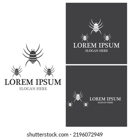 Spider icon and symbol vector template