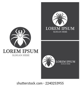 Spider icon and symbol vector template