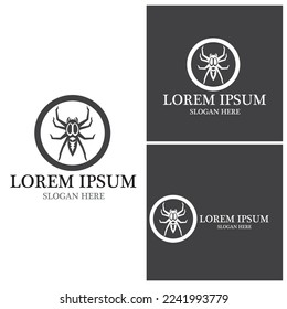 Spider icon and symbol vector template