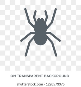 Spider icon. Trendy flat vector Spider icon on transparent background from animals collection. 