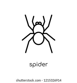 Spider icon. Trendy modern flat linear vector Spider icon on white background from thin line animals collection, editable outline stroke vector illustration
