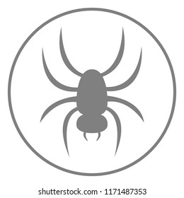 Spider icon. Vector.