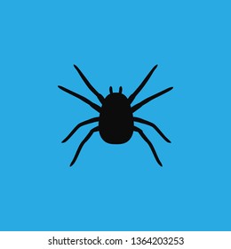 spider icon vector