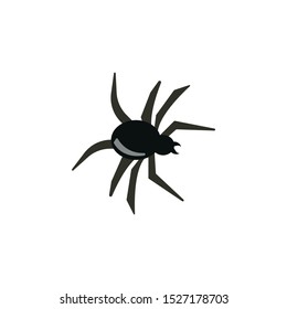Spider icon vector cartoon helloween