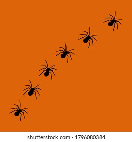 Spider icon. Vector illustration of a crawling spider.