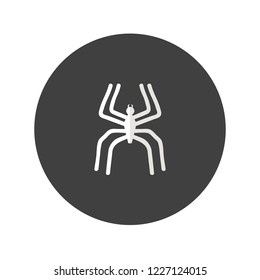 Spider icon, vector illustration design. Halloween collection.